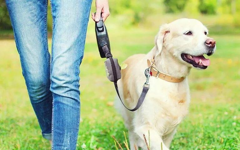 Person in jeans walking a happy light-colored dog on leash in grassy Bullhead City park, showing attentive pet care.