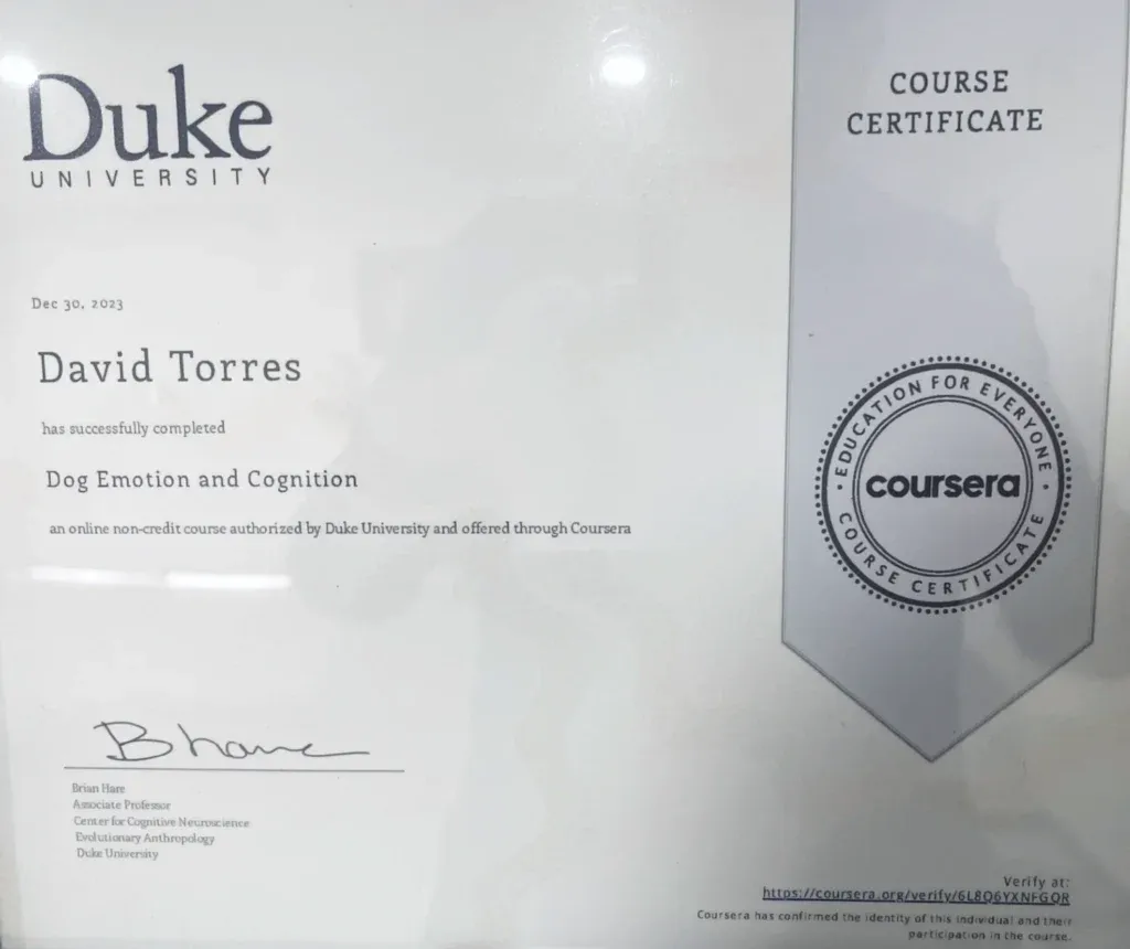 Duke University certificate for David Torres completing 