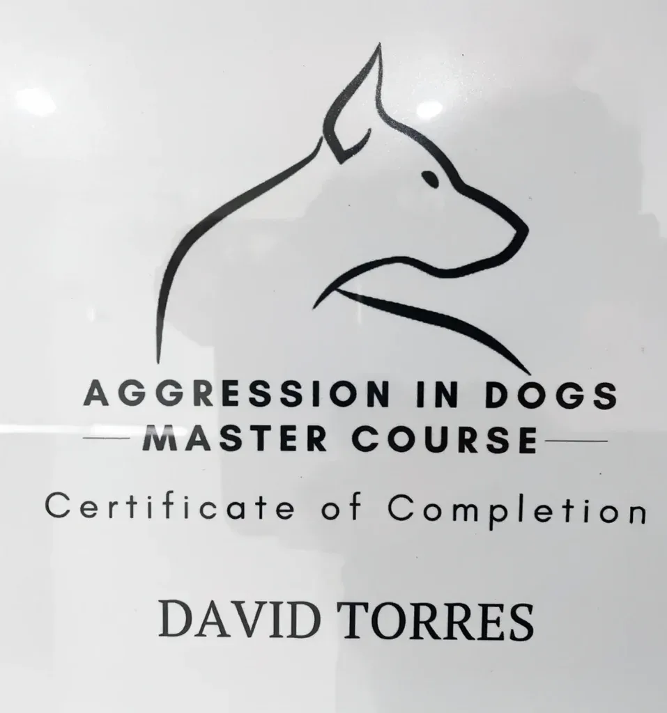 Aggression in Dogs Master Course certificate for David Torres with minimalist dog outline, showcasing dog training expertise.