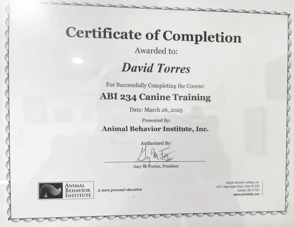 Certificate of Completion for David Torres, ABI 234 Canine Training in pet care and grooming, dated March 26, 2025.