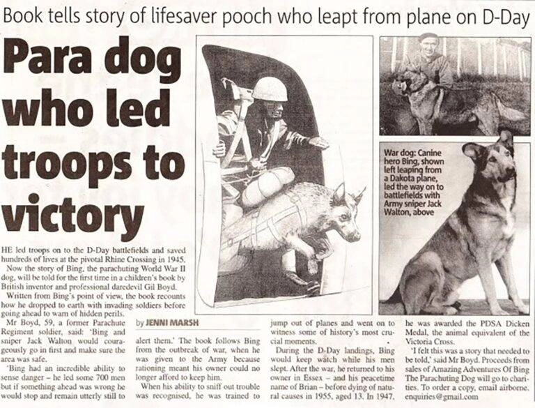Article featuring Bing, a military dog parachuting on D-Day, with photos of Bing and handler highlighting wartime heroics.