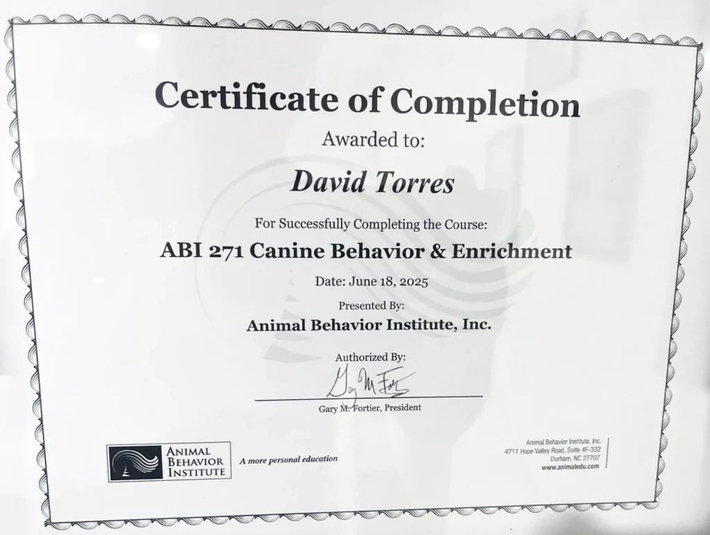Certificate awarded to David Torres for completing ABI 271 Canine Behavior & Enrichment on June 18, 2025.