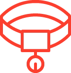 Professional Grooming