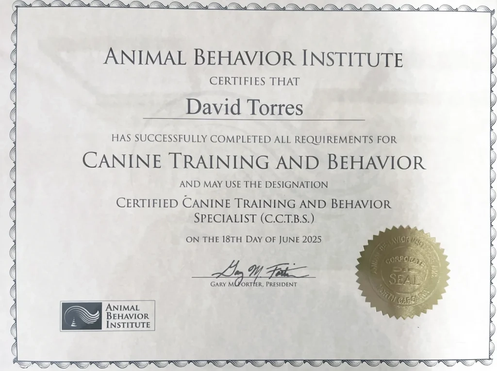 Animal Behavior Institute certificate for David Torres, Canine Training and Behavior, dated June 18, 2025, with gold seal.