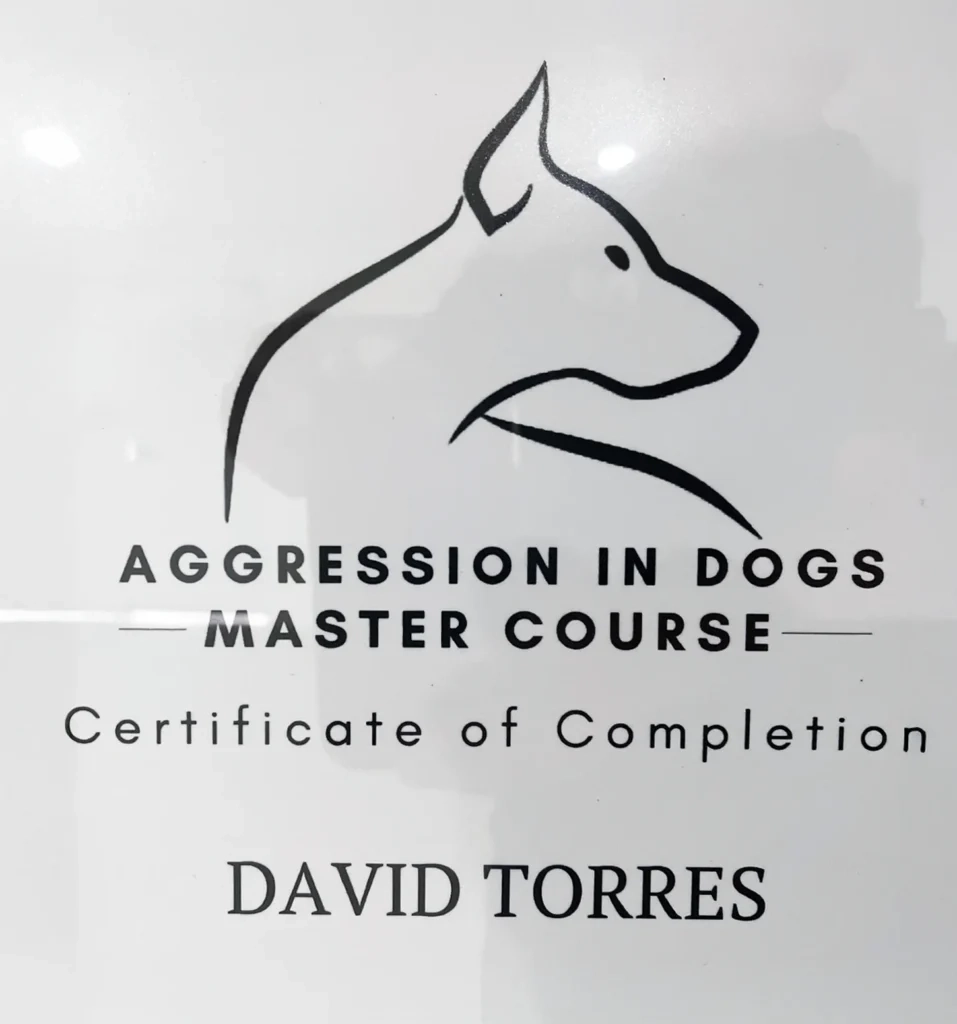 Aggression in Dogs Master Course certificate for David Torres with minimalist dog outline, showcasing dog training expertise.