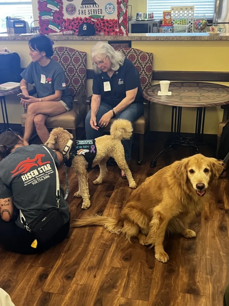 Three women and two therapy dogs in a communal room; one woman pets a golden retriever for comfort therapy.